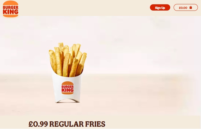 Burgerking regular fries